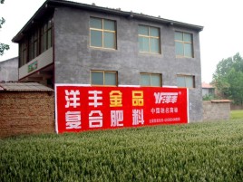 黔西如何让墙体广告展现最大化效果
