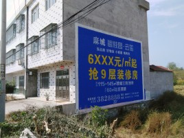 黔西墙体广告质量分析