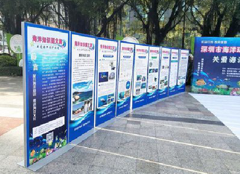 黔西KT板的种类和知识。